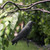 Realistic Crow Decoys, Life Sized Simulation Crow Statue Hunting Bait Decoys Black Crow Decoy Figuring,Flying Bird Props for Halloween Party Outdoor Garden Crow Decor (3PCS)