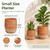 11"H x 9.5" Dia Aged Terracotta Clay Planter Pot with Drainage Hole, Rustic Farmhouse Style Flower Pot with Distressed Finish, Vintage Decorative Planter for Indoor Outdoor Garden, Patio, Porch