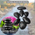 Black River Rocks - Large Polished Black Pebbles for Plants & Garden Decorative Stones, 1-2 Inch, 15 Pound