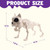 JOYIN 2 PCS 16" Poseable Dog Skeleton Halloween Decoration Animal Puppy Plastic Bones with Posable Joints for Prop Indoor Outdoor Decor Spooky Scene Party Favors Graveyard Decorations