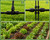 1/2 Inch Irrigation Tubing 100 FT, Drip Mainline for Raised Beds & Gardens