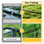 1/2 Inch Irrigation Tubing 100 FT, Drip Mainline for Raised Beds & Gardens