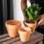 OLEEP Clay Pots - 10 Pack (5.5 inch) Large Terra Cotta Plant Pot with Drainage Hole,Garden Pots, Clay Planters Pot, Terracotta Pot for Indoor Outdoor Plant