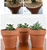OLEEP Clay Pots - 10 Pack (5.5 inch) Large Terra Cotta Plant Pot with Drainage Hole,Garden Pots, Clay Planters Pot, Terracotta Pot for Indoor Outdoor Plant