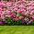 Garden Edging, 110FT x 2" Flexible Plastic Landscape Border with 106 Stakes