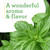 Bonnie Plants Sweet Basil, Live Plants, with Miracle-Gro Pour & Feed Singles Ready-to-Use Plant Food, 4-Pack, Great for Containers, Raised Beds, and In-Ground Gardens, 19.3 oz.