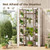 Bamworld 62.2“ Tall Greenhouse Indoor White Cover Plant Shelf Outdoor