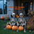 yifaeux 5.4Ft/170cm Posable Halloween Skeleton, Full Body Life Size Skeleton with Movable Joints for Indoor Outdoor Halloween Decorations, Spooky Party Props Decor 1Pcs