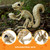 JOYIN Squirrel Skeleton Halloween Decoration 9.1 Inch Animal Posable Skeletons Movable Joints Plastic Bones with Pine Cones for Halloween Haunted House Decor Spooky Scene Garden Patio Party Prop