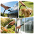 100FT Garden Hose, Non-Expanding Ultra Lightweight Water Hose
