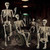 Znorso 5.4ft Halloween Skeleton - Halloween Posable Life Size Skeleton Huma Full Body Realistic Bones with Movable Joints for Halloween Outdoor Decorations
