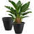 RooTrimmer 3 Pack 20 Inch Large Plant Pots for Outdoor,Heavy Duty Extra Large Deep Garden Planter with Drainage Holes,Sturdy Textured Black Flower Pot for Trees,Shrubs,Patio,Lawn