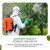 Alligare Imazapyr Herbicide 4 SL for Broad Spectrum Control of 185 Annual, Biennial, and Perennial Weeds & Brush - 1 Quart Liquid Weed Killer, Ideal for Rangeland, Bare-Ground, and Site Preparation
