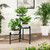 3 Tier Corner Plant Stand Indoor Outdoor, Metal, 10 Inch Wide Tray, Black
