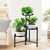 3 Tier Corner Plant Stand Indoor Outdoor, Metal, 10 Inch Wide Tray, Black