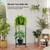 Hongsane Metal Heavy Duty Plant Stand Indoor Outdoor,φ13×30" H 2-Tier Plant Stands, Tall Plant Holder for Large Pots,Outside Plant Shelves for Patio,Black Flower Display Shelf for Living Room,Balcony