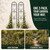 XYCCRX 2 Pack Q195 Metal Garden Trellis for Climbing Plants, 66 x 13 in