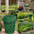 TOP XIAN 2-Pack Inground Worm Composter, Outdoor Worm Compost Bin for Garden Beds & Home Use, Vermicomposting Bin for Beginners (9.5x9.5x10.8Inch), Green