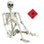 IDMOP 5.4Ft Halloween Skeleton Life Size Skeleton with Posable Joints