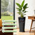 Greesum Set of 2 Tall Plastic Planters with Saucer, 23 Inch, Black