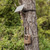 Moultrie Solar Power Pack II - 2-Pack, 3.4W, for Edge Series Cameras
