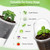30 Pack 3.5" Self Watering Propagation Pots, Seed Starter Cups with Dome