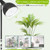Lonwon Grow Light Bulb, Plant Light Bulb, E26 Grow Bulb Full Spectrum