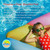CLASSIC SAND & PLAY Swimming Pool Filter Sand for Above & Inground Pools, 20 lbs, Supports Residential and Commercial Filtration Systems, Premium Efficient Silica, No Clogging or Clumping, #20 Grade