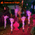 5-Pack Halloween Decorations Outdoor, Solar Lighted Skeleton Arm Stakes