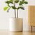 LE TAUCI 12 Inch Pot for Plants, Ceramic Indoor Planter, White