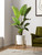 LE TAUCI 12 Inch Pot for Plants, Ceramic Indoor Planter, White