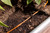 Rain Bird GARDENKIT Drip Irrigation Kit