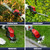 Hedge Trimmer Cordless for Milwaukee 18V MAX Battery (Black-Red)