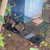 HOMESTEAD 32 Inch Live Animal Trap - Specialized for Raccoons, Opossums, Groundhogs, Skunks, Feral Cats, Squirrels - Humane Way Catch & Release Animal Trap