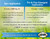 Mesotrione - 16 Ounces - (Compare to Tenacity) - Turf Herbicide