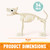 JOYIN 34” Halloween German Shepherd Skeleton, Life Size Plastic Dog Skeleton with Movable Posable Joints, Realistic Animal Bones for Haunted House, Graveyard, Indoor Outdoor Garden Party Decor