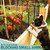 Goovilla Garden Fence, Total 10ft(L) x 21in(H), 10 Pcs, Rustproof Metal