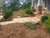 Long Needle Pine Straw Mulch - 65-80 Sqft Coverage 1 Set - Premium USA Harvested PineStraw for Landscaping, Weed Control, Moisture Retention & Erosion Control - USA Pinestraw