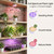 LMBMYYS 2 Pack Rechargeable Grow Light, Cordless Full Spectrum LED for Indoor Plants, Magnetic Mount, Timer & Remote, USB-C 2000mAh for Shelf, Herbs, Succulents, Seedlings & Greenhouse (Black)