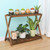 Jotboom Wooden Plant Shelf Indoor, Narrow Plant Bench for Multiple Plants