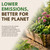 PlantBest Coco Peat Garden Soil, Concentrated Peat-Free Potting Mix