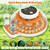 Quail Egg Incubator with Automatic Turner and Humidity Control