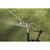Strongway Wheeled Sprinkler, 6-10 GPM, 100ft. Coverage, 7,800 Sq. Ft.