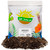 Soil Sunrise Avocado Tree Potting Soil Mix (12 Quarts) for Germinating, Growing and Repotting Avocado Plants