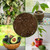 Soil Sunrise Avocado Tree Potting Soil Mix (12 Quarts) for Germinating, Growing and Repotting Avocado Plants