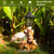 Solar Squirrels Outdoor Statues, Garden Sculpture with Flowerpot & Lantern