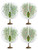 Fruit Tree Netting for Cicadas - with Zipper 4Pcs 5 x 4FT Garden Bird Netting for Blueberry Bushes with Drawstring,Insect Plant Protection Mesh Net Bags for Tomato,Cicada,Animals (4, 4 x 5 FT)