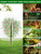Fruit Tree Netting for Cicadas - with Zipper 4Pcs 5 x 4FT Garden Bird Netting for Blueberry Bushes with Drawstring,Insect Plant Protection Mesh Net Bags for Tomato,Cicada,Animals (4, 4 x 5 FT)