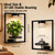 2 Pack Plant Wall Shelf with Grow Light, Wall Mounted Indoor Plant Shelf