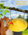 iBorn Tube Bird Feeder for Small Seeds, Wild Bird Feeder with 3 Fold-Down Perches, Detachable Easy-Clean Mesh Design, Locking Base, 1.5L Metal Bird Seed Feeder for Outside, Yellow, Pack of 1